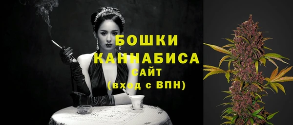 бошки Протвино
