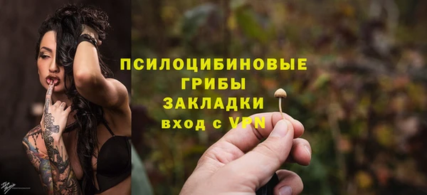 бошки Протвино