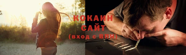 бошки Протвино
