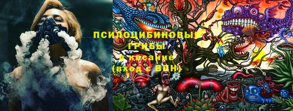 бошки Протвино