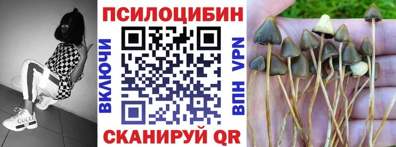 Купить закладки  Светлый  Псилоцибиновые грибы прущие грибы 